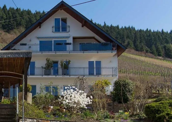 Casa de hóspedes Gaestehaus Falklay Burg (Bernkastel-Wittlich)